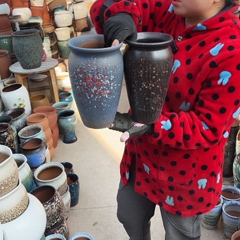 瑕疵盆子盆子盆子 