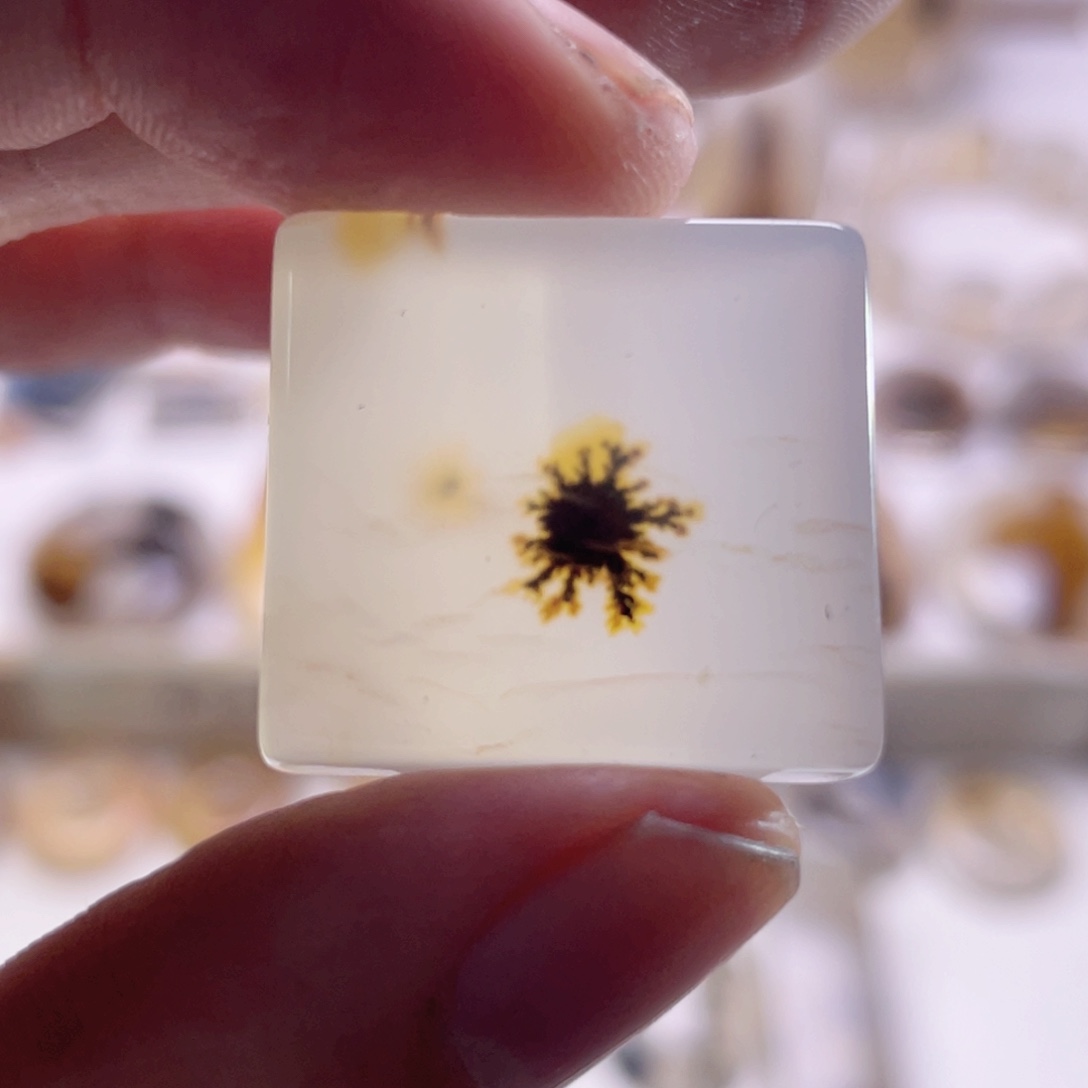 玛瑙/玉髓未镶嵌珠宝奇石