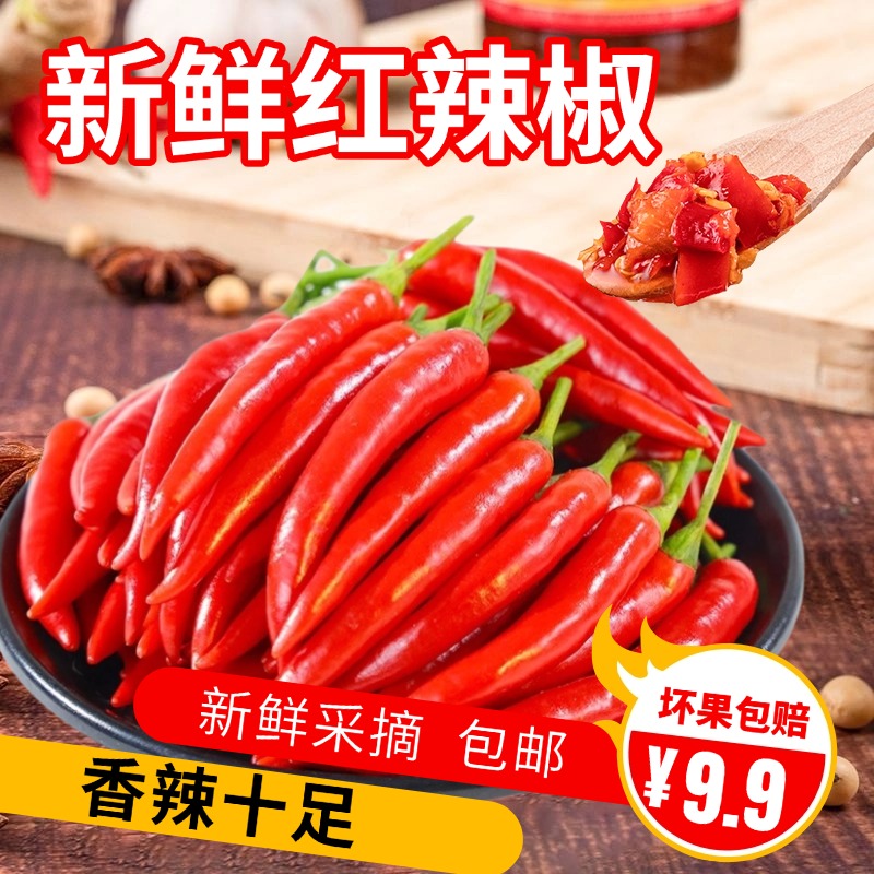 农家特辣小米椒炒菜提鲜香味十足产地直发农家自种辣椒