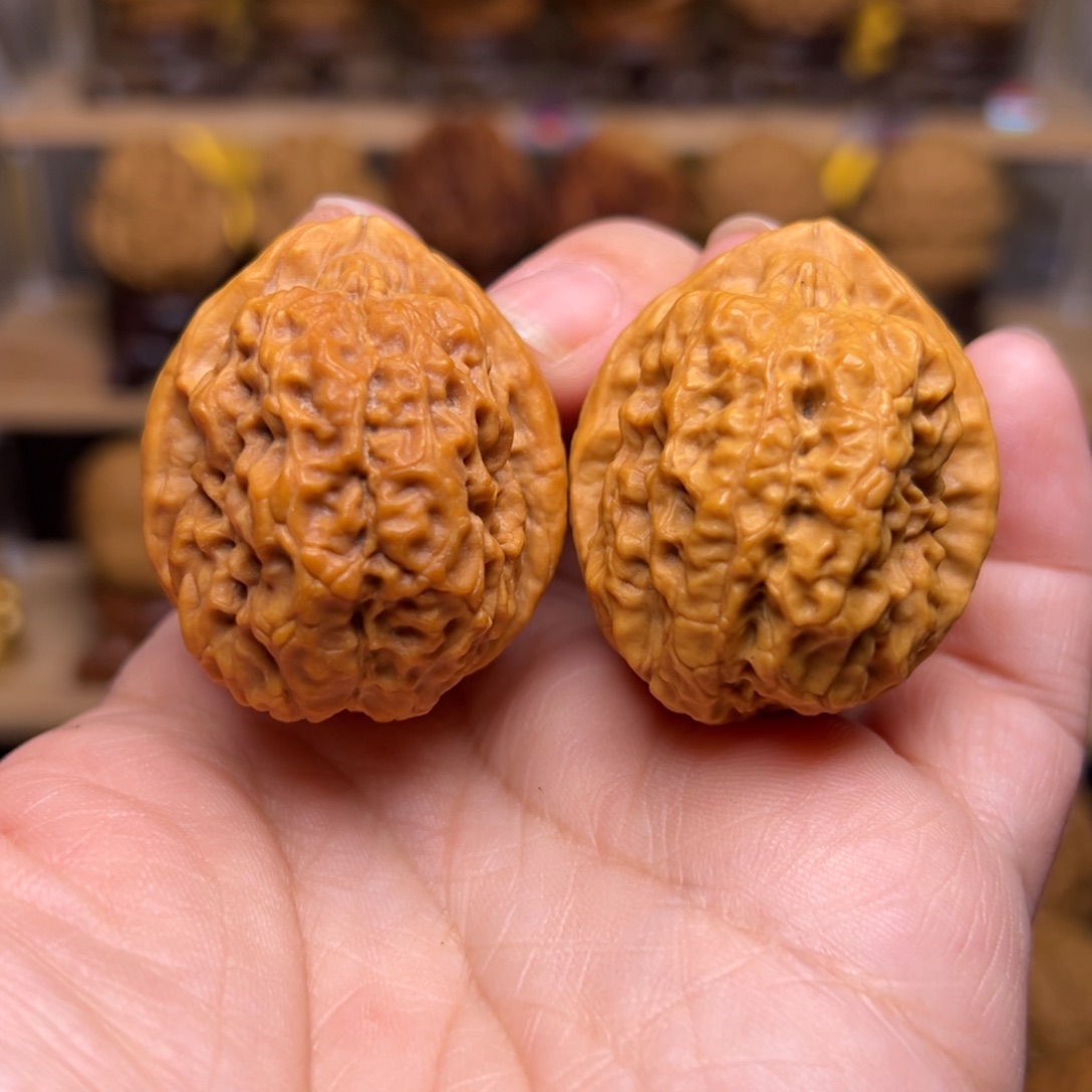 文玩核桃把件9w卧龙金蟾37尺