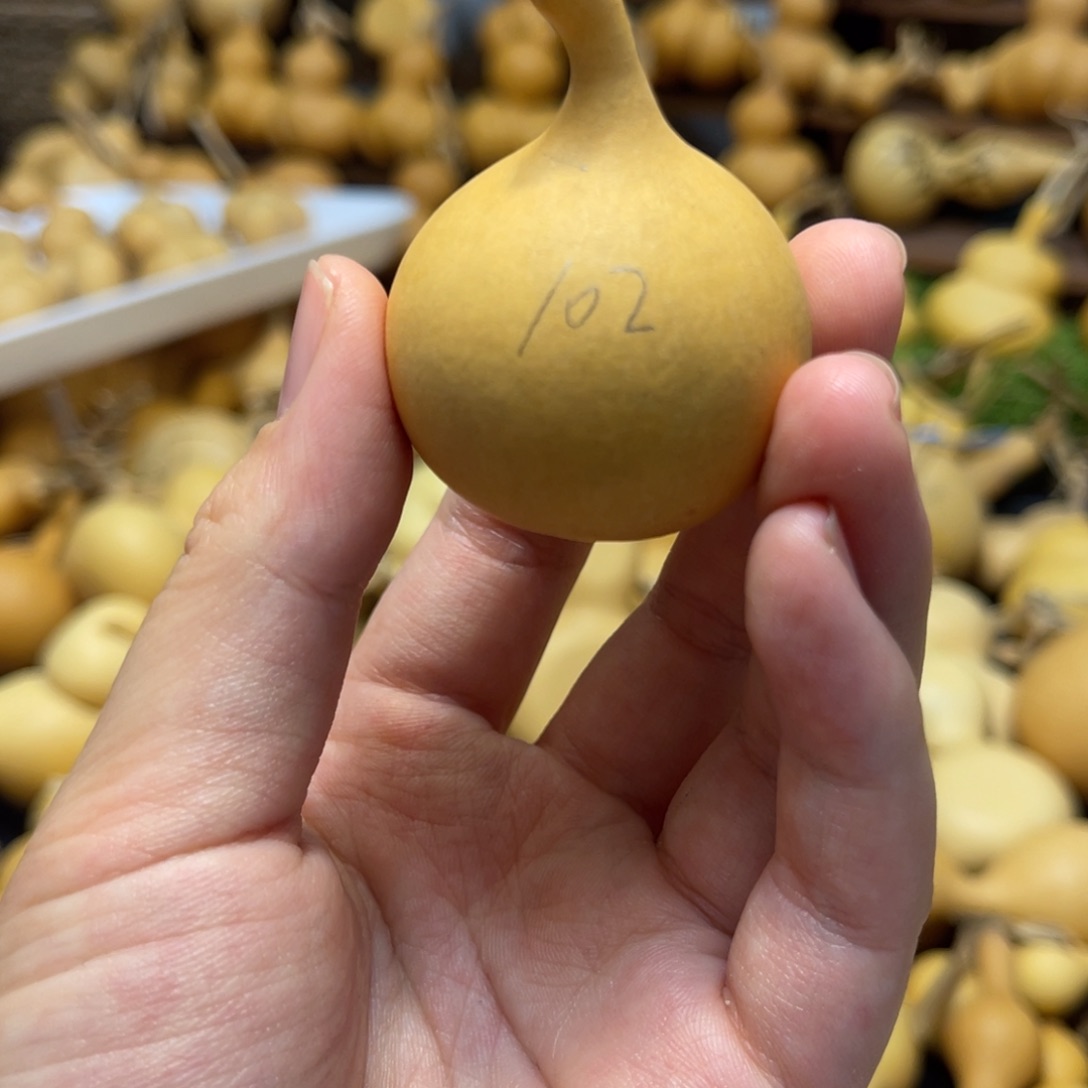 闪拍葫芦链接-102号品