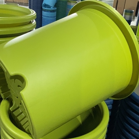 树脂四季8号果绿无托5个