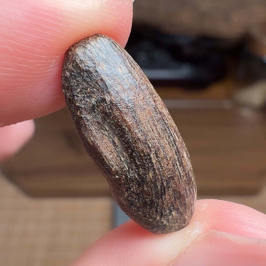 沉香香港西贡棋韵瓜子