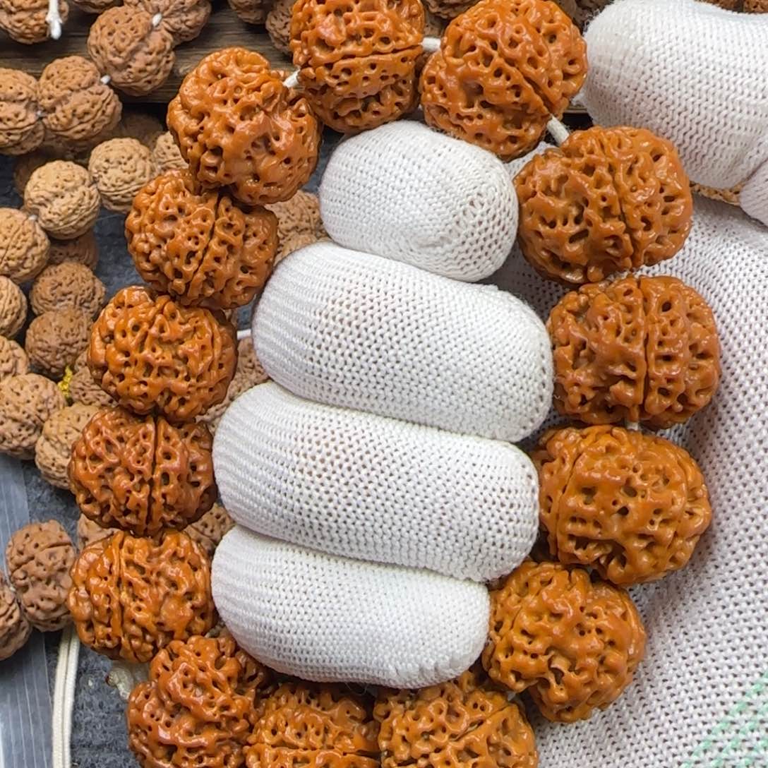 菩提金刚菩提24双龙梅花