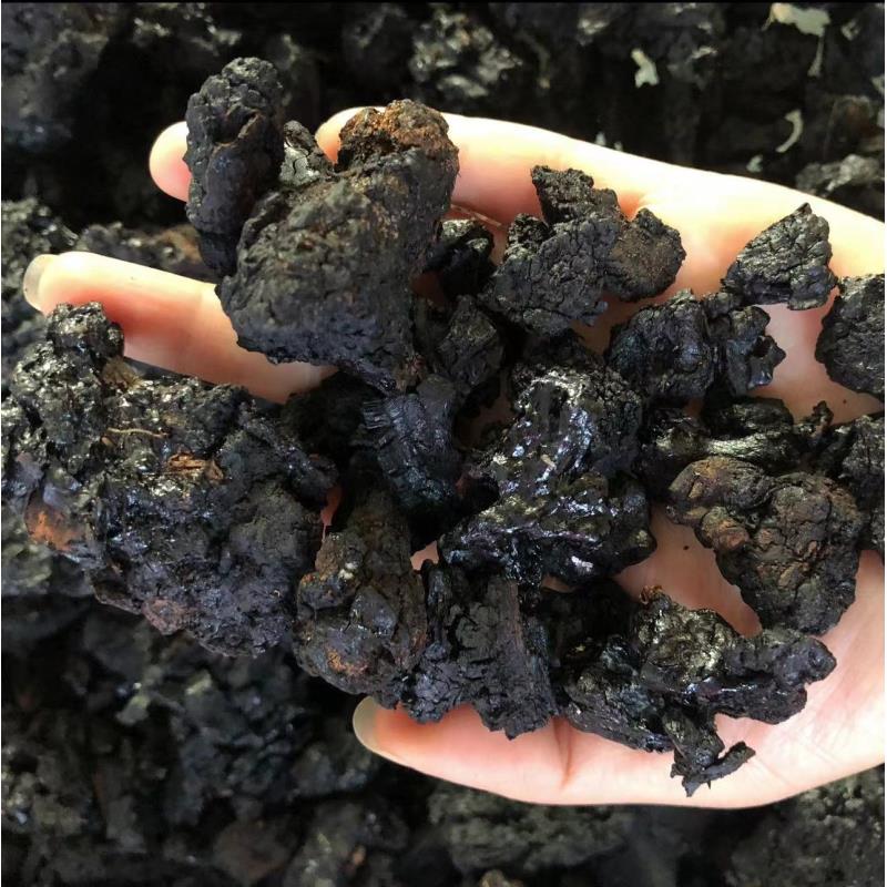福娃优选【桦树精油】菌菇黑精油250克包邮