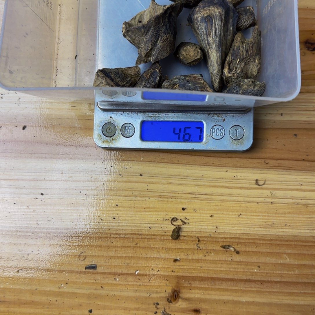 游***余沉香碎屑沉香46克