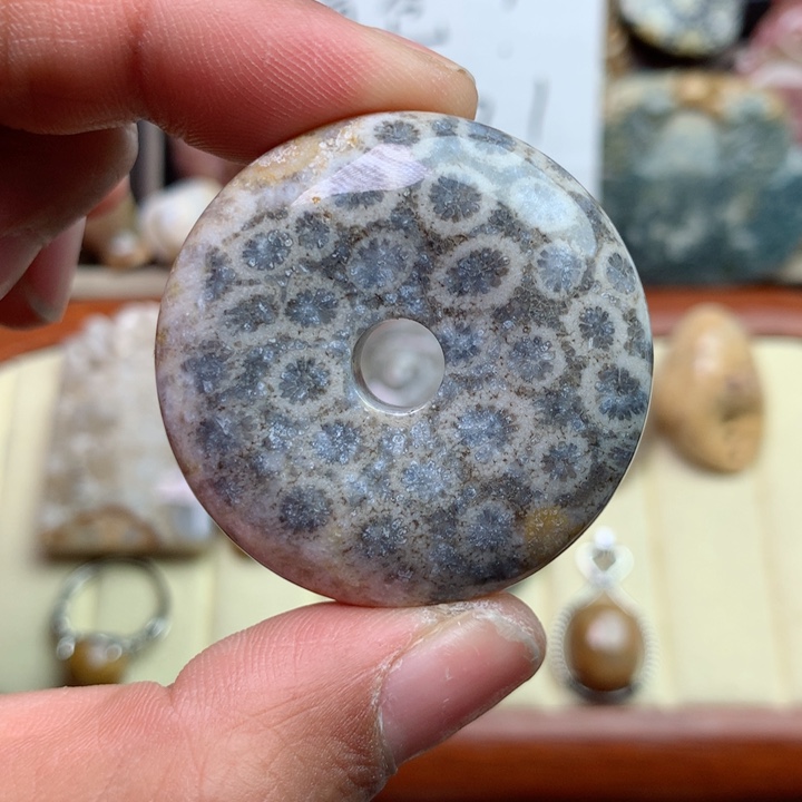 硅化珊瑚（珊瑚玉）颈饰未镶嵌