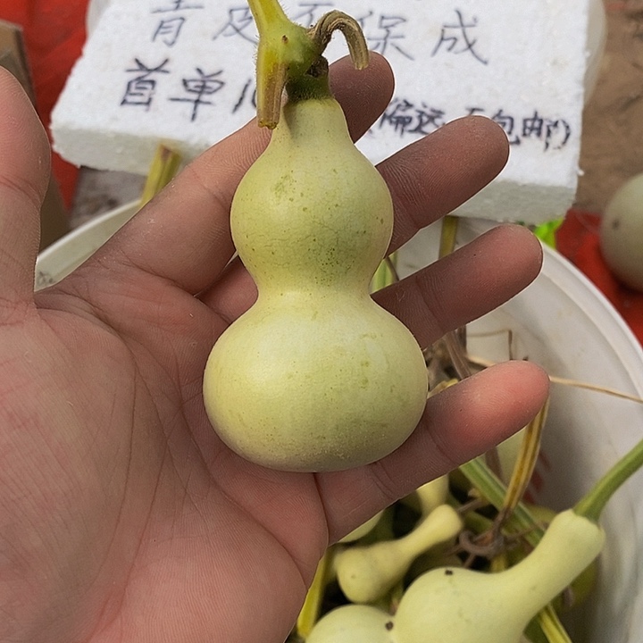 爱****博长嘴哈哈哈哈哈哈哈哈哈哈哈哈哈