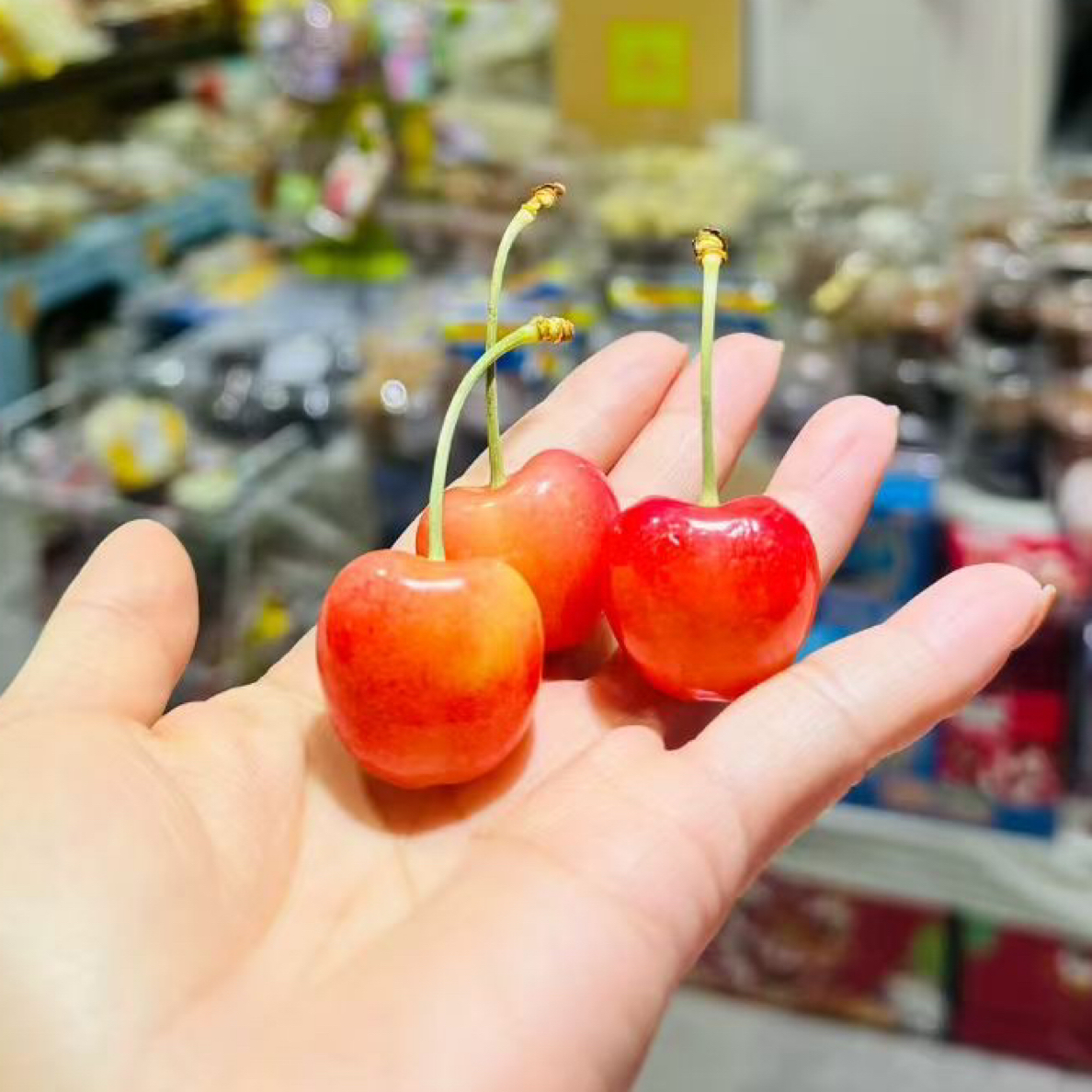 智力进口空运车厘子车格露黄车CherryGlow J级新鲜水果内附果径卡智利
