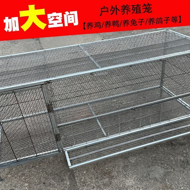 探头吃食加厚网加粗加密链条网农村户外防蛇鼠养鸡养鸭养兔家禽笼