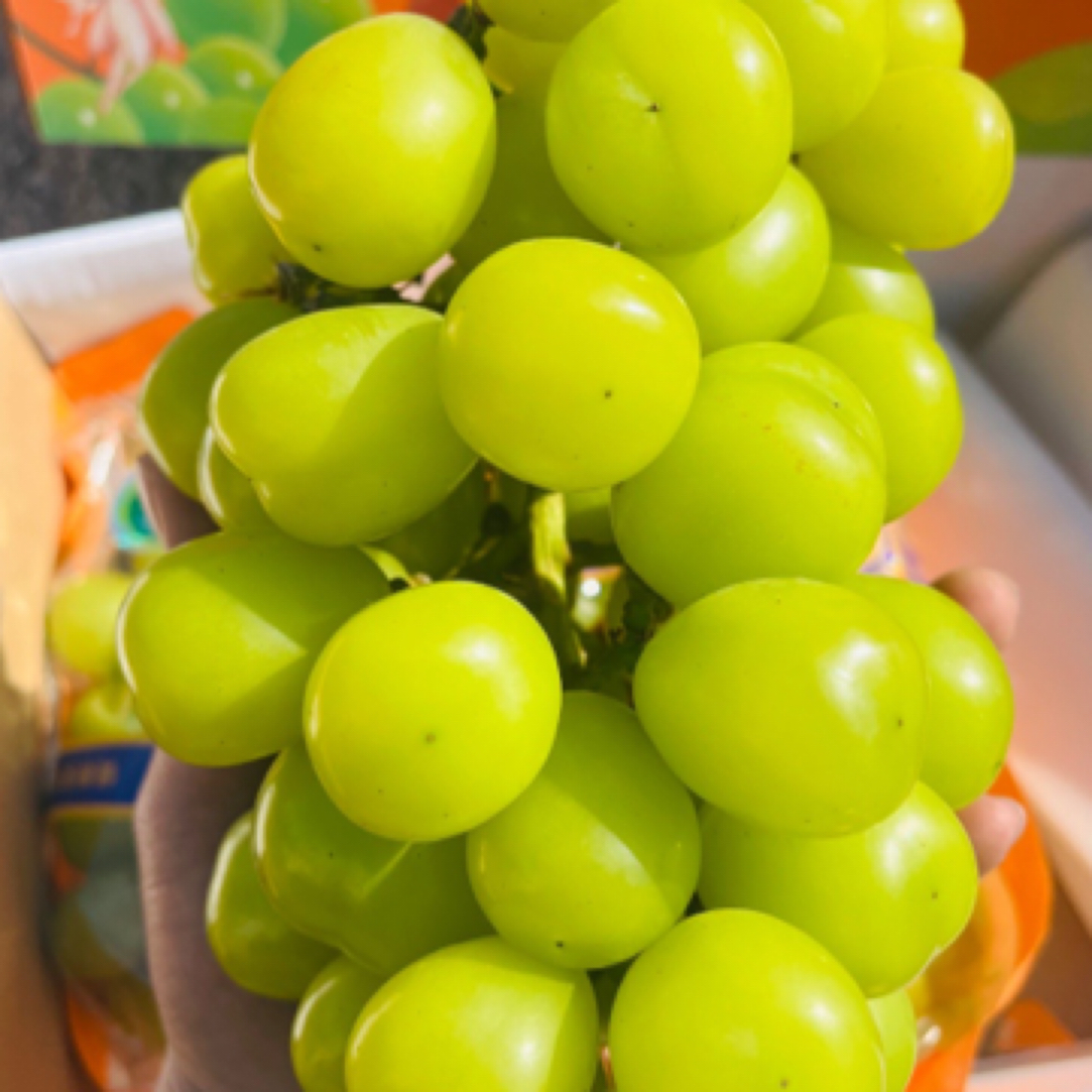 玫品阳光玫瑰6.5斤净礼盒装升级的更有质感，不止硬、不止甜!不是淡淡的香!超级浓郁的香气在口中绽放的感觉