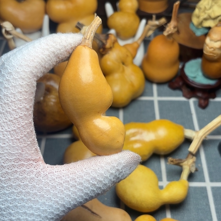 悟***6风裂葫芦66666666666