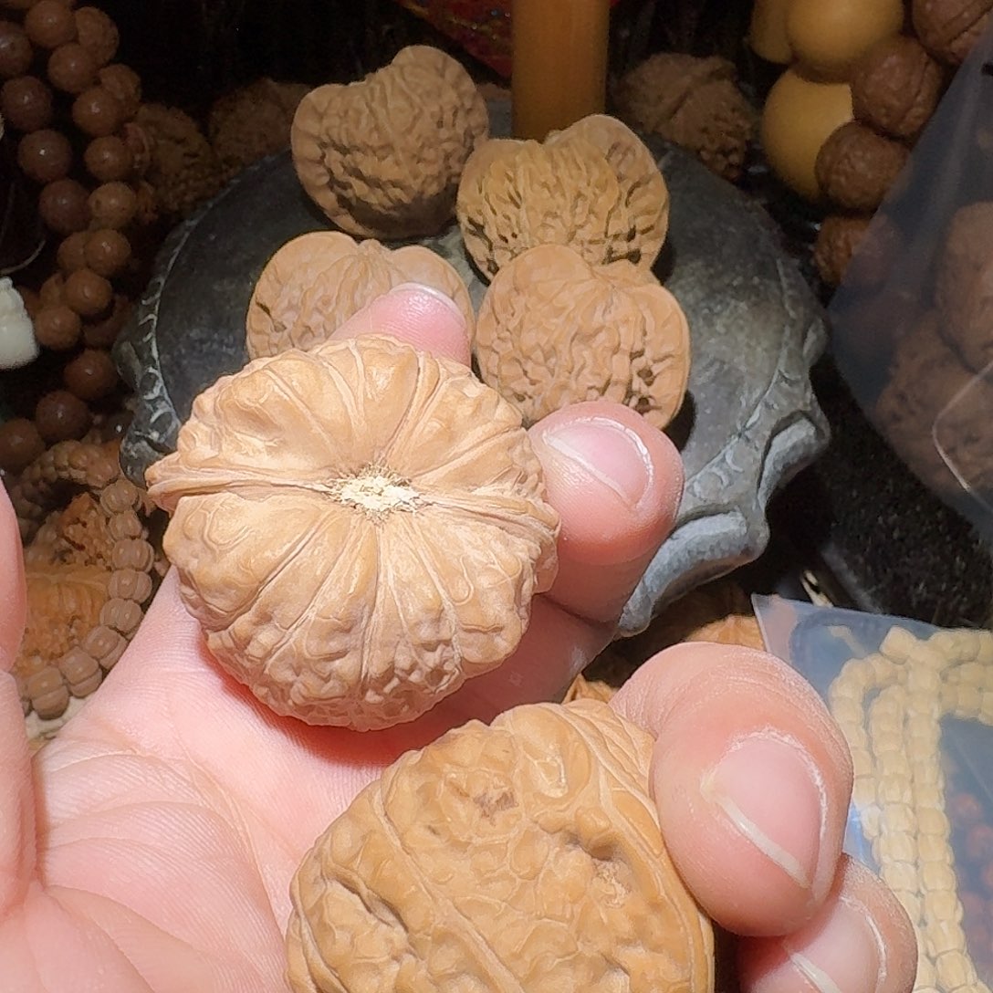 核桃43尺全品南瓜墩