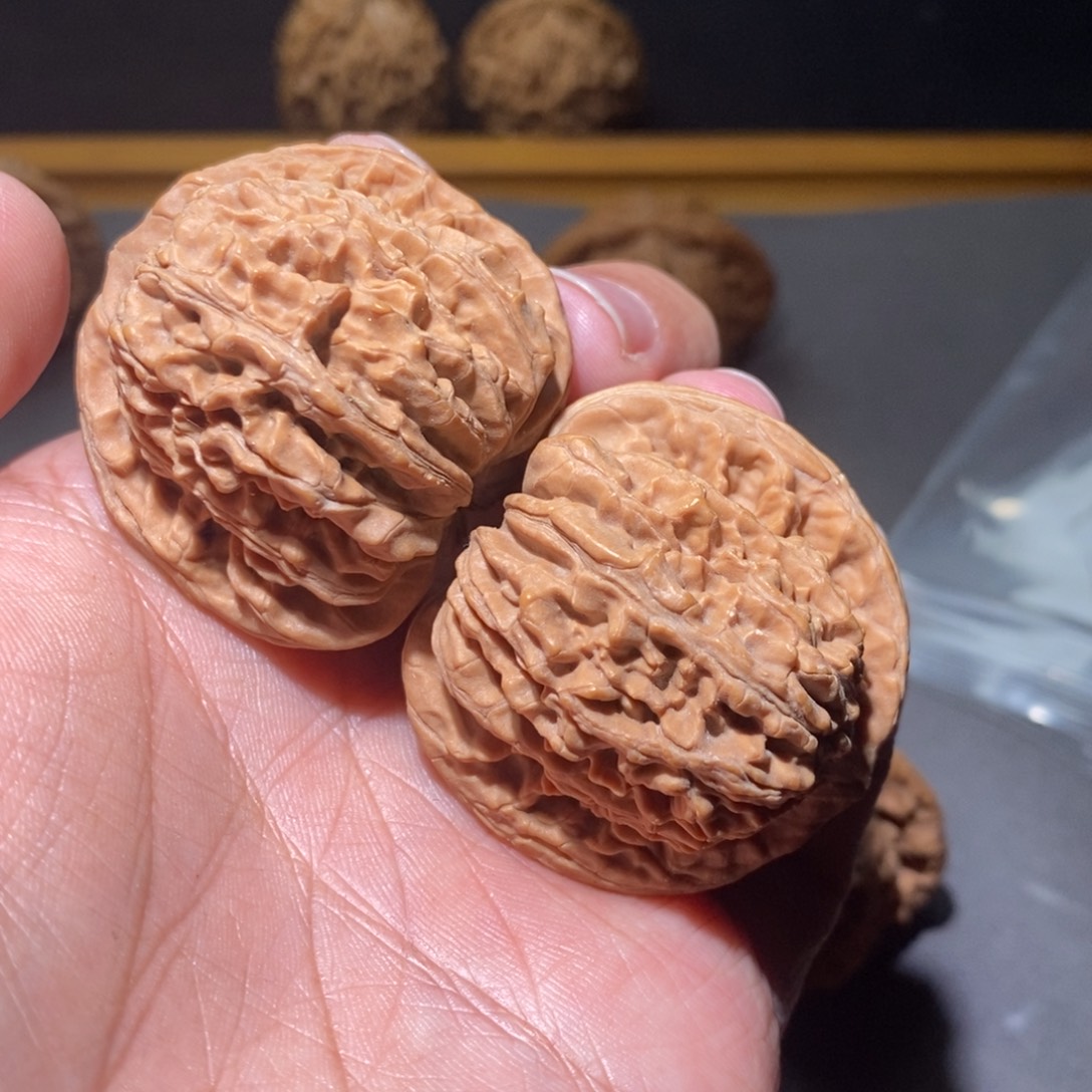 核桃41汉高楼核桃