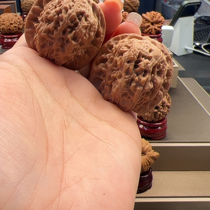 文玩核桃把件39 血麒麟 a-064