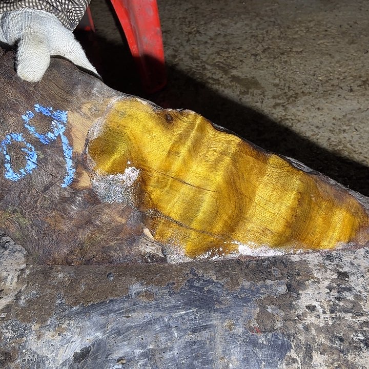 用***8金丝楠啊啊啊啊啊啊