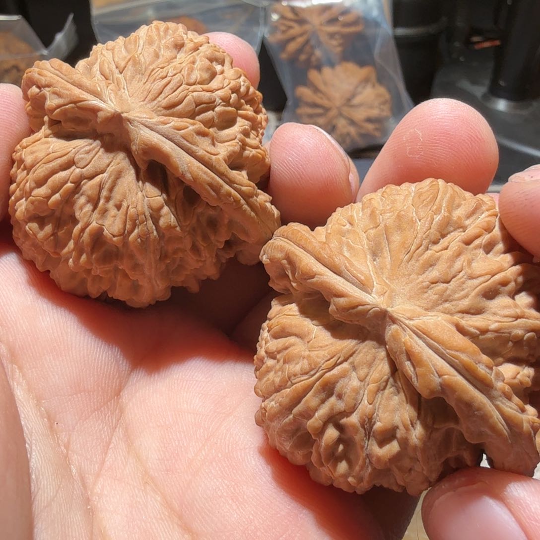 文玩核桃把件真*白狮子