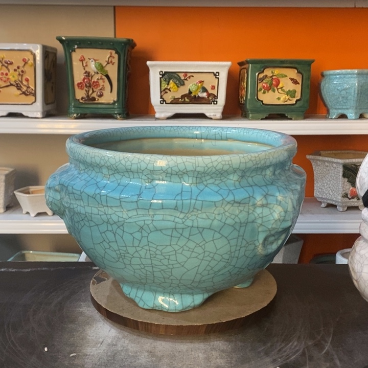 红陶旅*花盆里的小猫咪