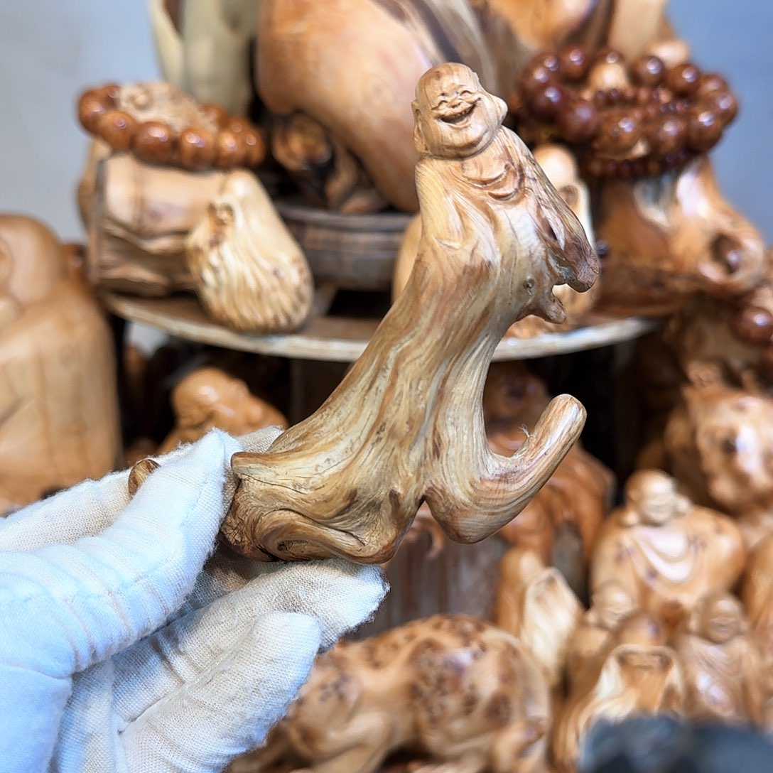 柏木（崖柏）6666666666