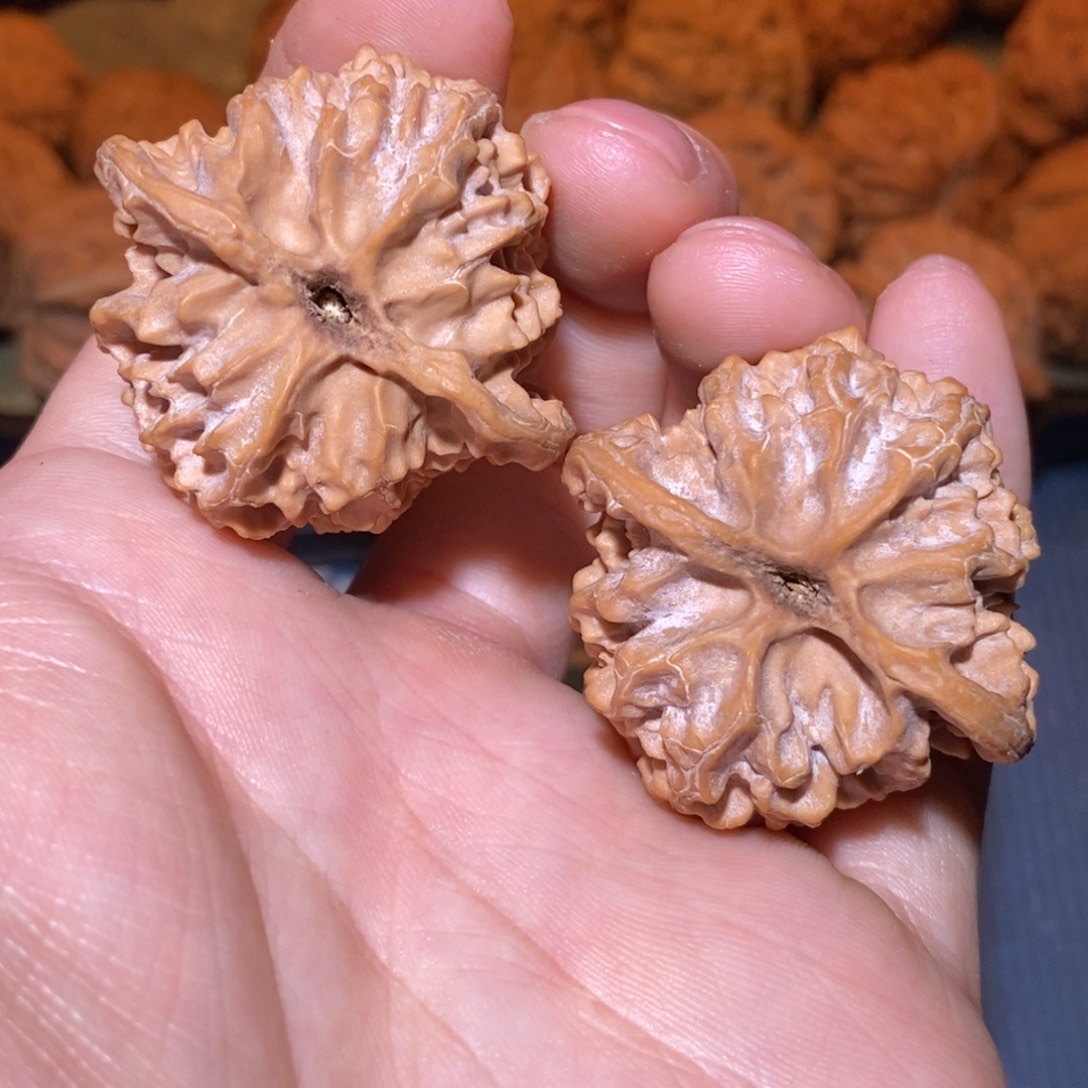 39尺 全品白茬 苹果园