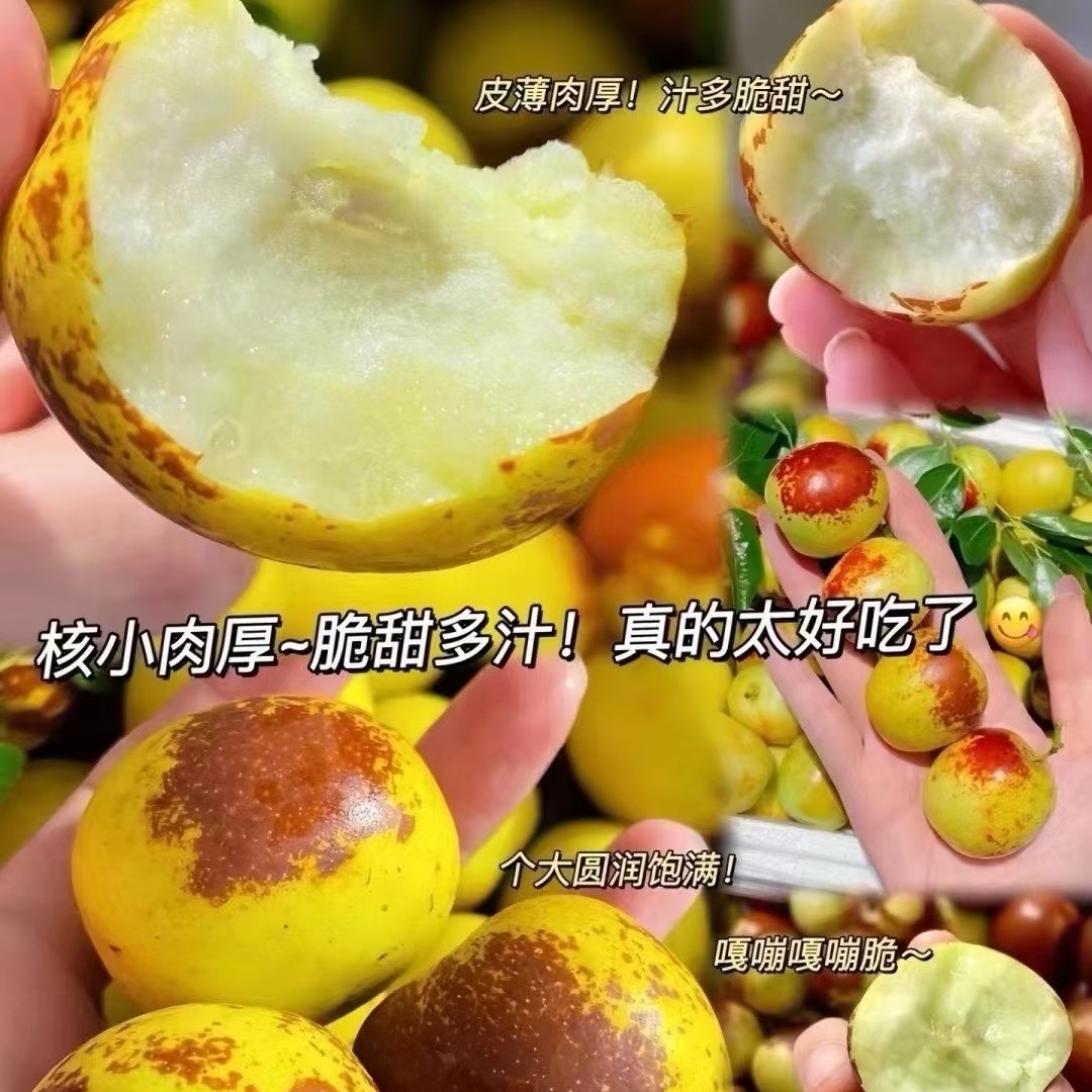 陕西大荔冬枣