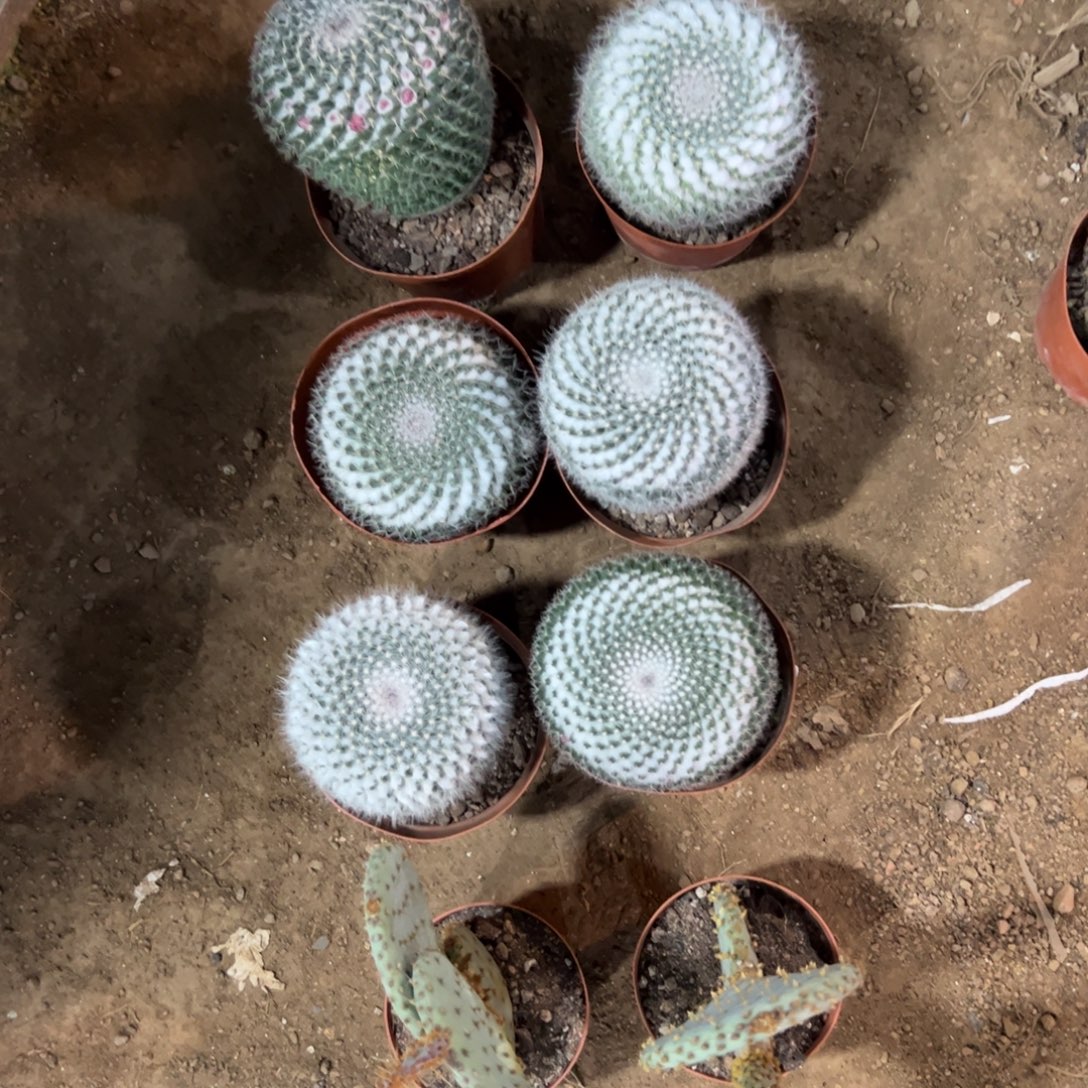 老***厅哈哈哈哈哈哈哈哈哈哈哈哈