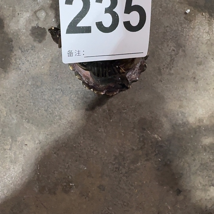 龙***海民俗物件鉴赏品鉴