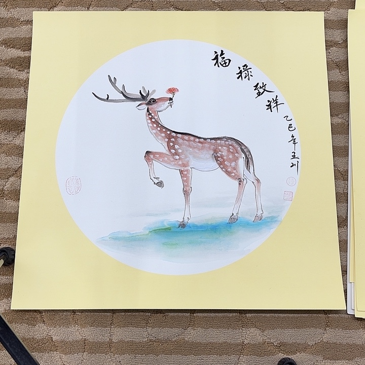 国画坎****龙花鸟等多种鸟类的栖息环境