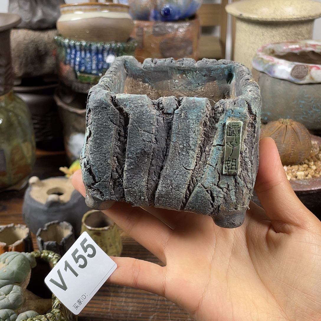 默认微次 限时福利 坛子姐花盆