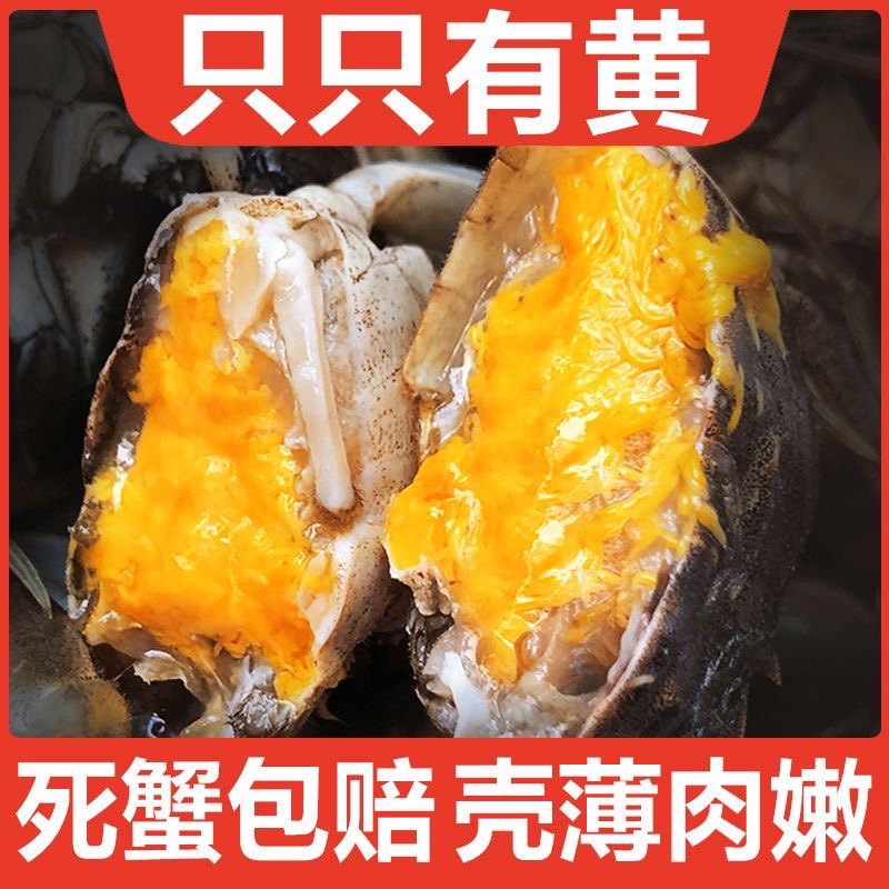 【鲜活】盘锦河蟹 1.8-2.0两  2斤 3斤 5斤 母蟹