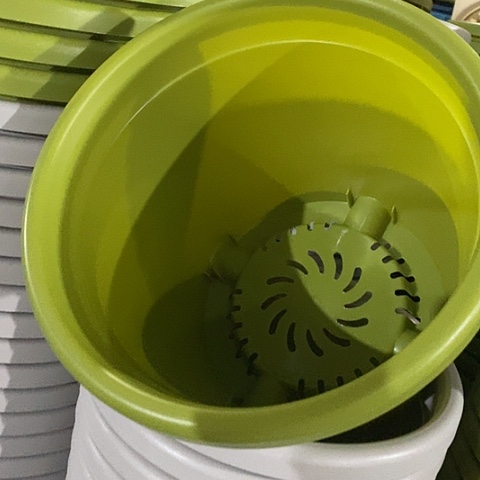 树脂四季4号果绿无托8个微瑕