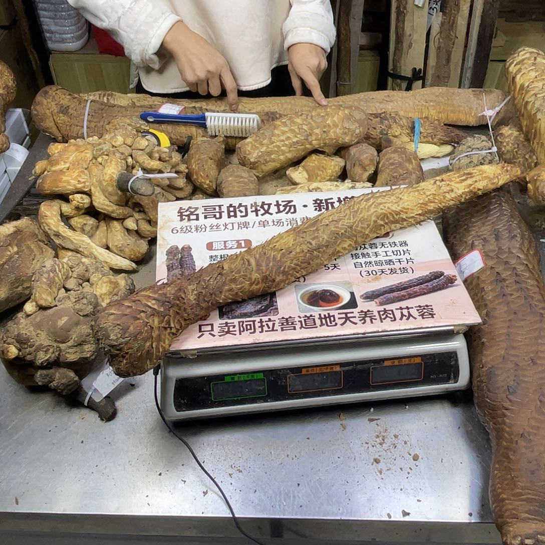 阿尔及利亚阿拉善沙漠865克61厘米