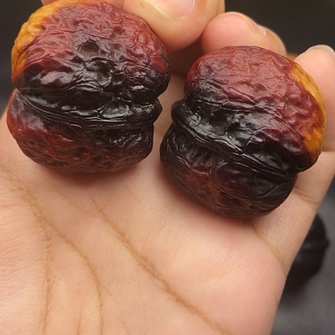 文玩核桃把件39尺元宝蟾