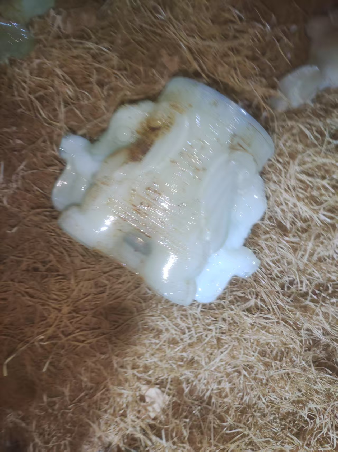 1个个深色摆件链接箱子7号