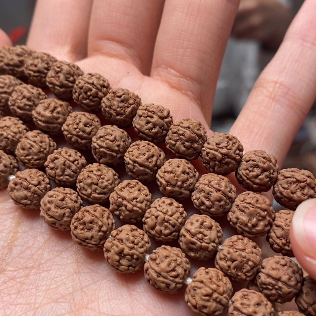 跳***跳菩提籽类盘龙卡8 108