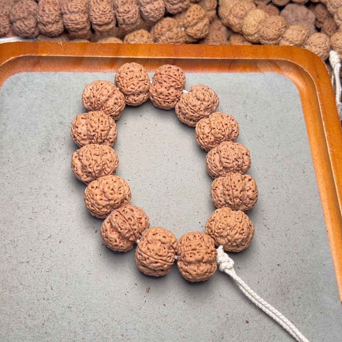 菩提21号金刚菩提梁梅花23+