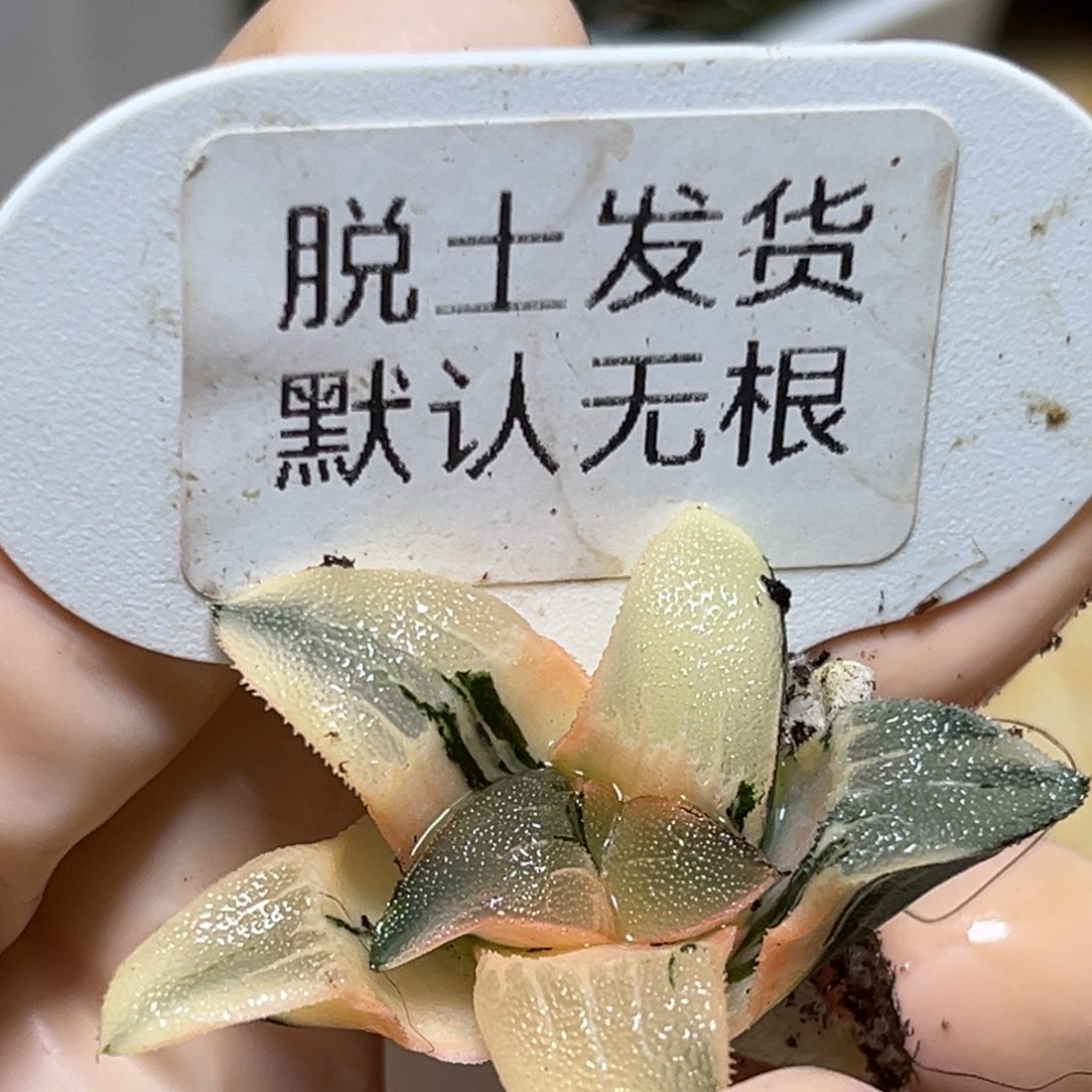 恭喜发财大吉大利889