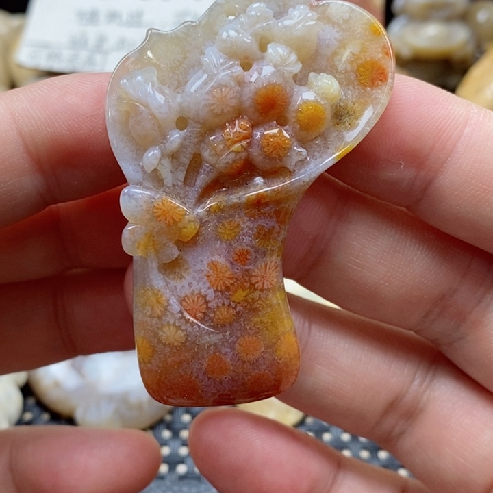 硅化珊瑚（珊瑚玉）颈饰未镶嵌
