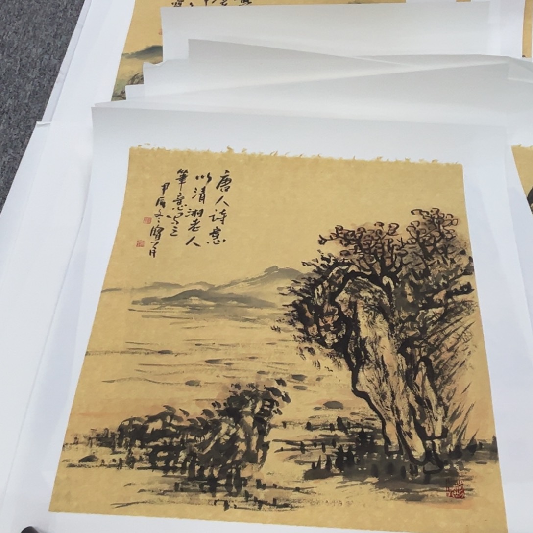 国画杜宝民老师三尺斗方绘画有托底