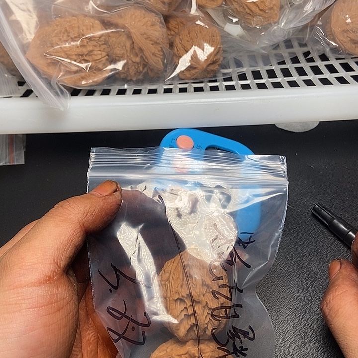 蚝***粥规划姐姐姐姐姐姐家