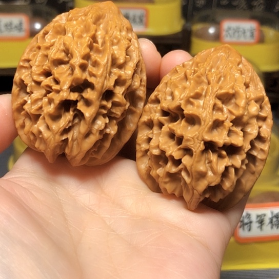 特价：野生招财鼠边44肚46（不退不换）