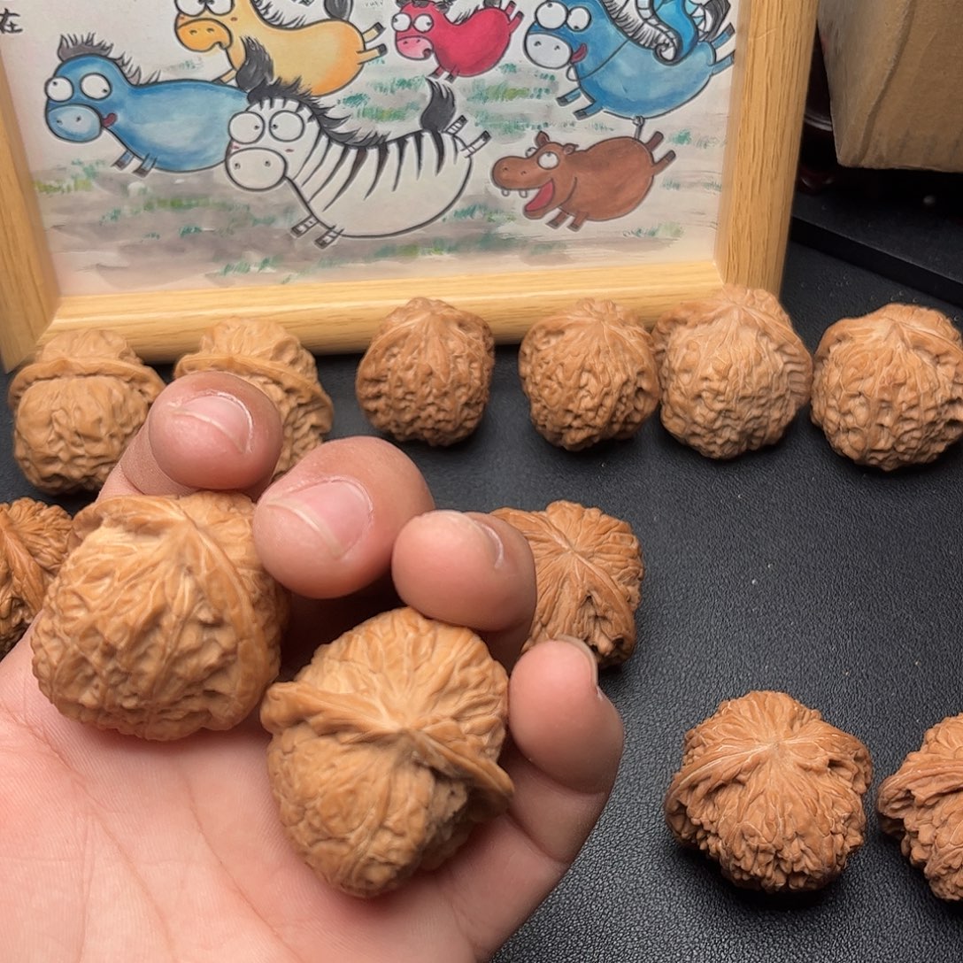 全品无修南瓜，，，，