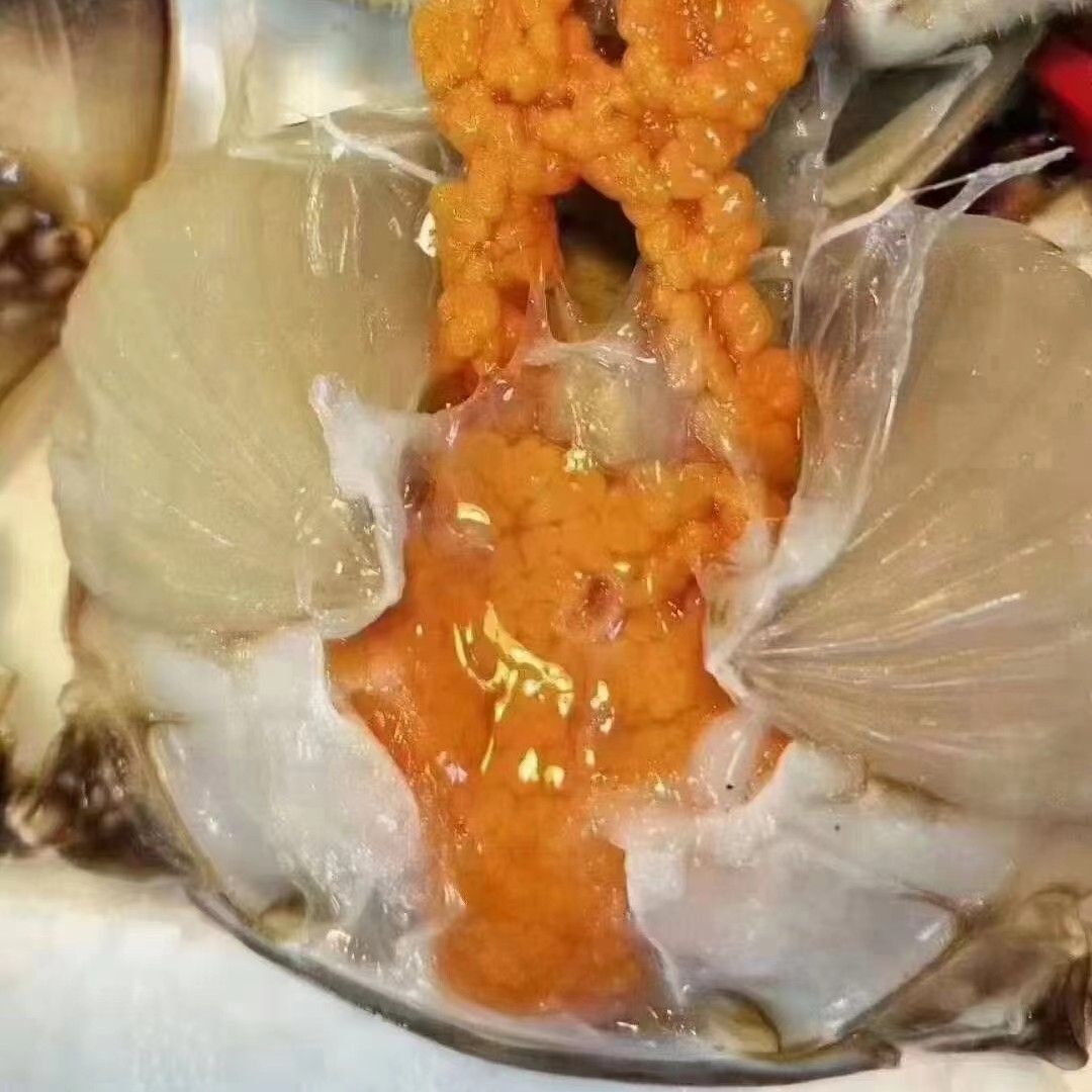 ［推荐］鲜活全黄吃黄肉多母梭子蟹中个2斤约4-6只，（规格 4-5 两/只）鲜活发货，【保鲜不保活】