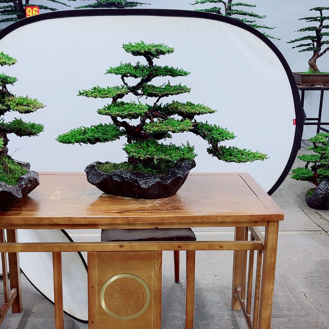 无花朵直播间一物一拍