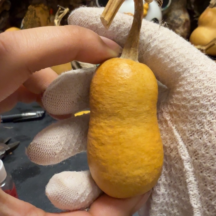 笑***26…………………………………………