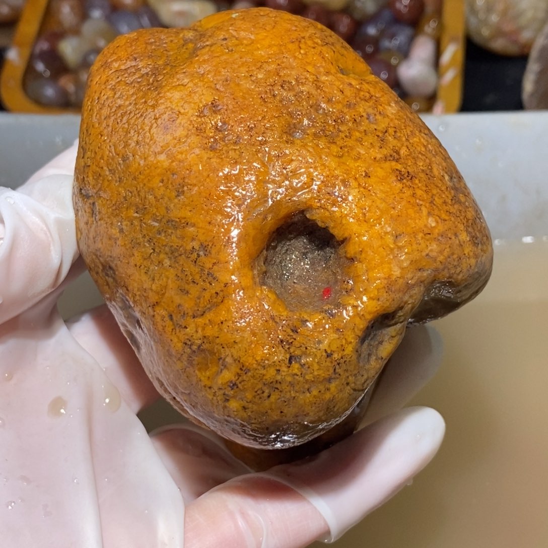 【闪购商品】硅化玉颈饰未镶嵌