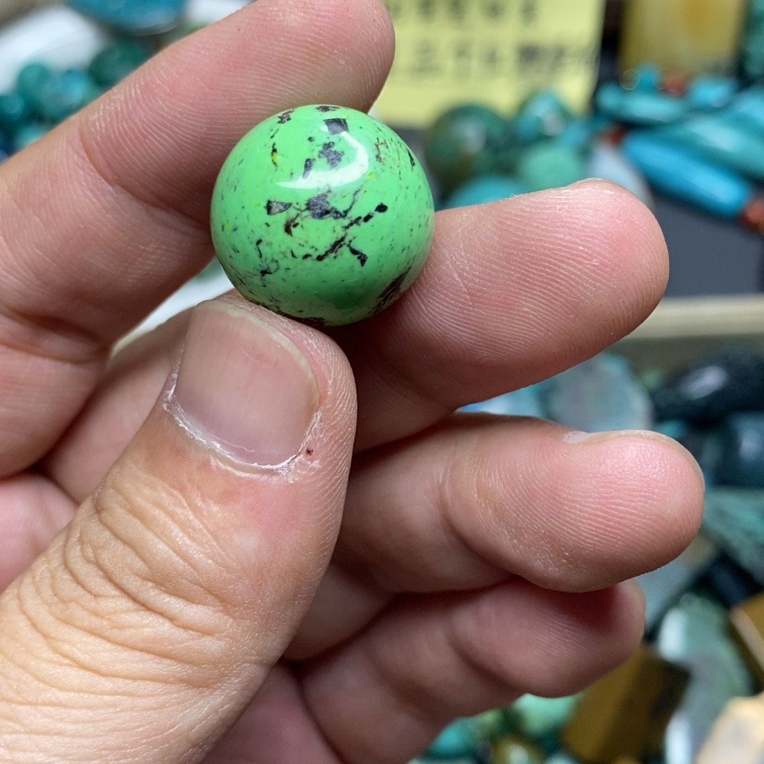 特色圆珠菜籽黄一枚50