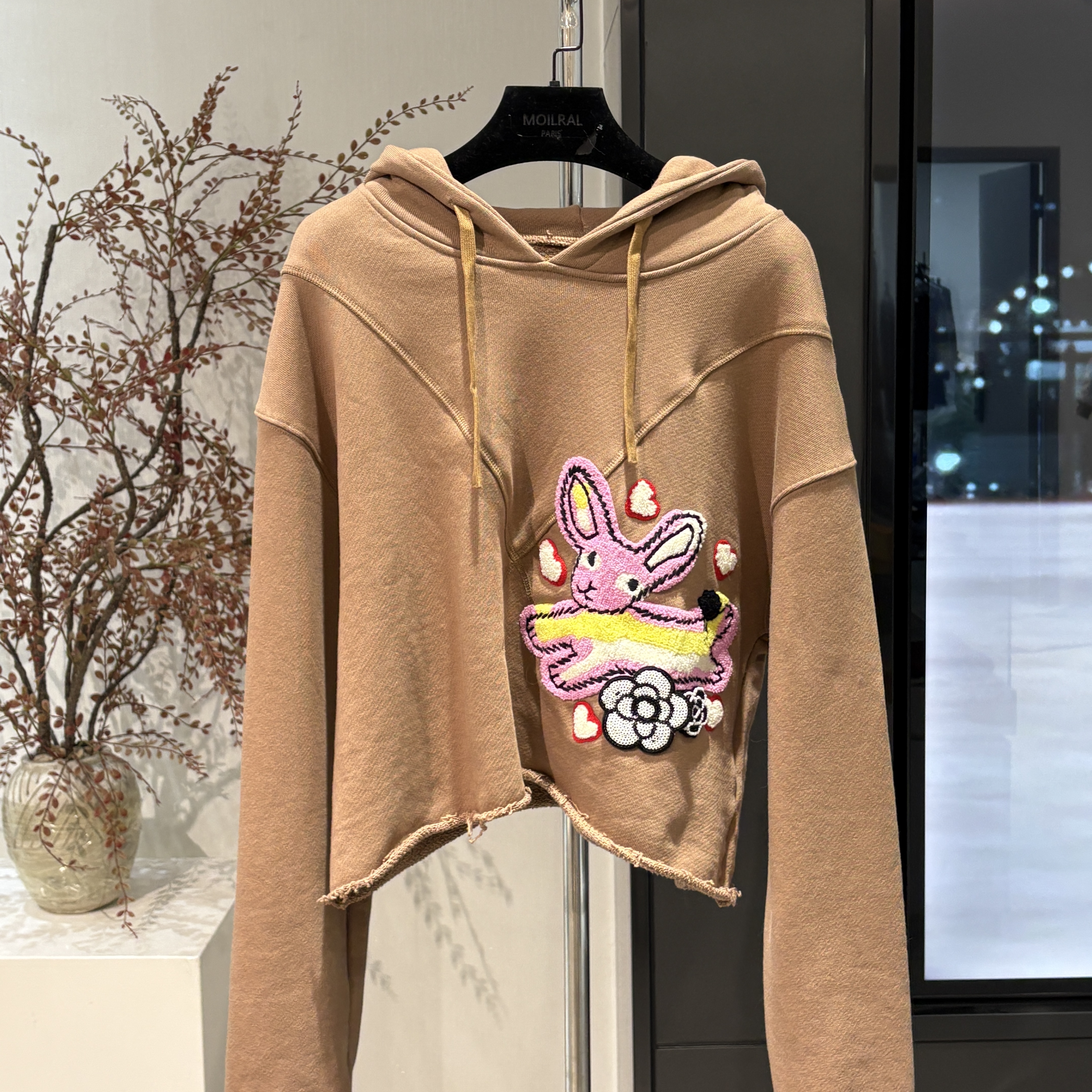 卫衣时尚休闲百搭连帽加绒印花带帽LT213