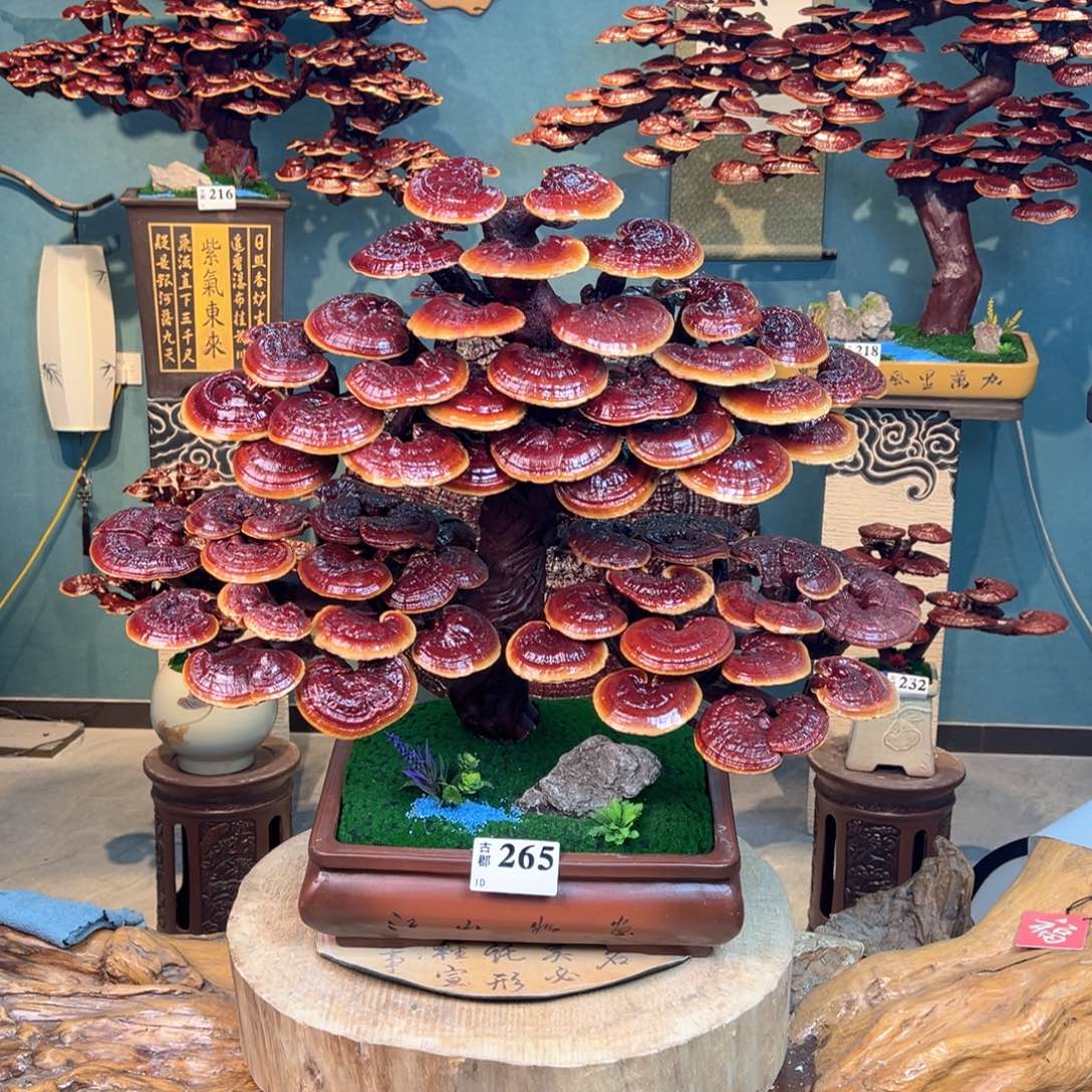 太***了无花朵86888888888