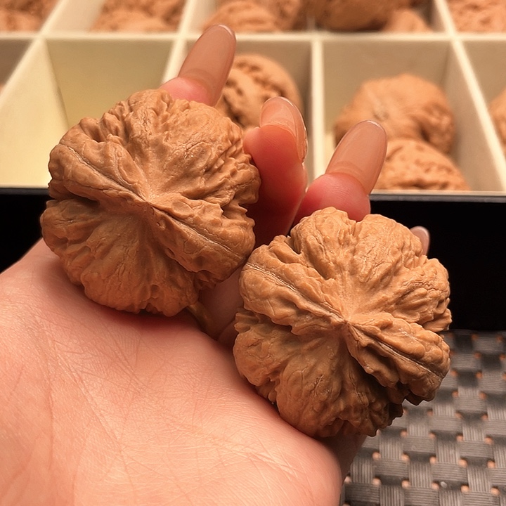 霸王龙核桃尺寸40+